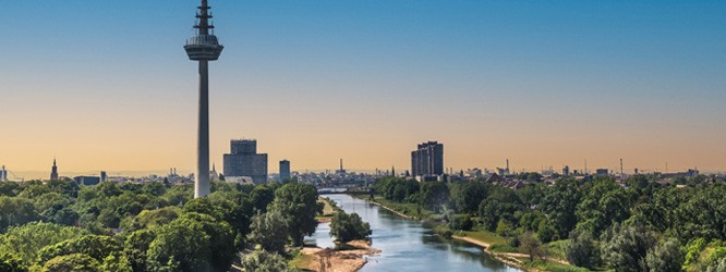 Aktuelle Lokalpolitik 10.2025